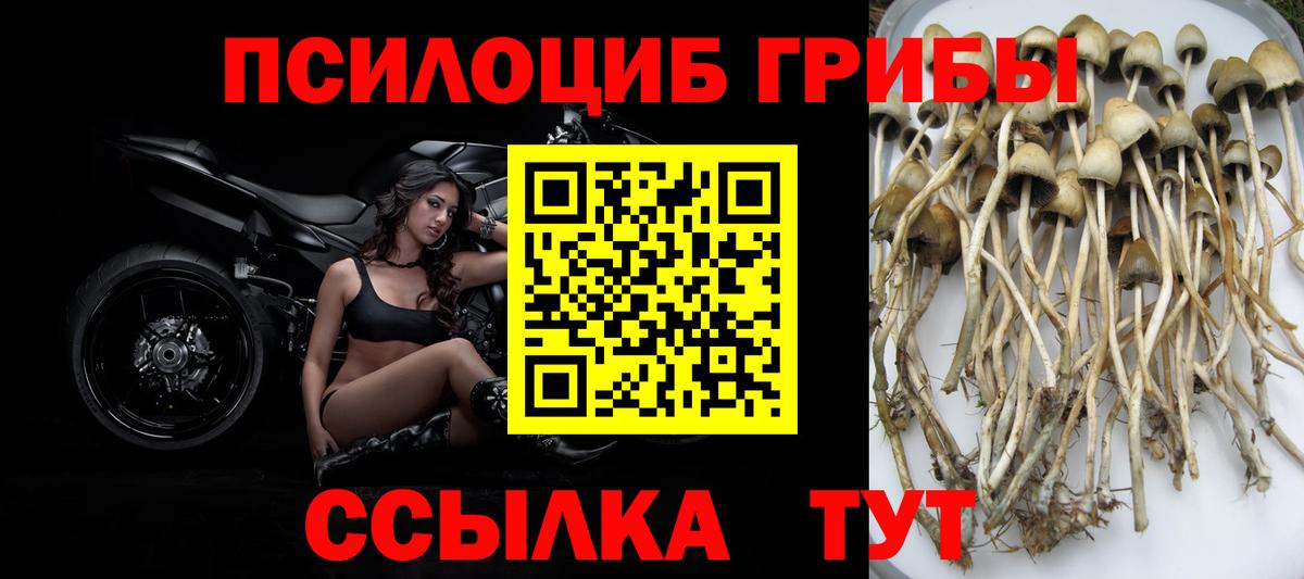 Псилоцибиновые грибы Magic Shrooms Верхняя Салда